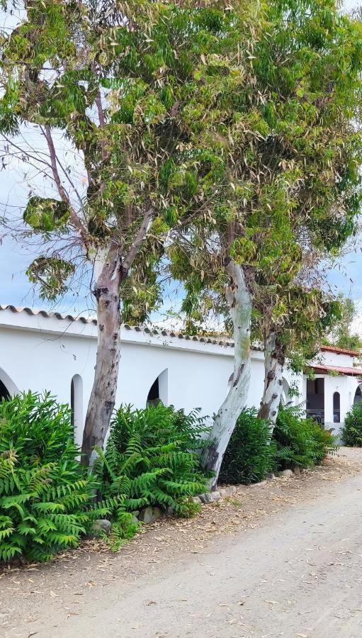 Camping Village Torrenova Ciro Marina Exterior photo